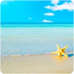 beach wallpapers android application logo